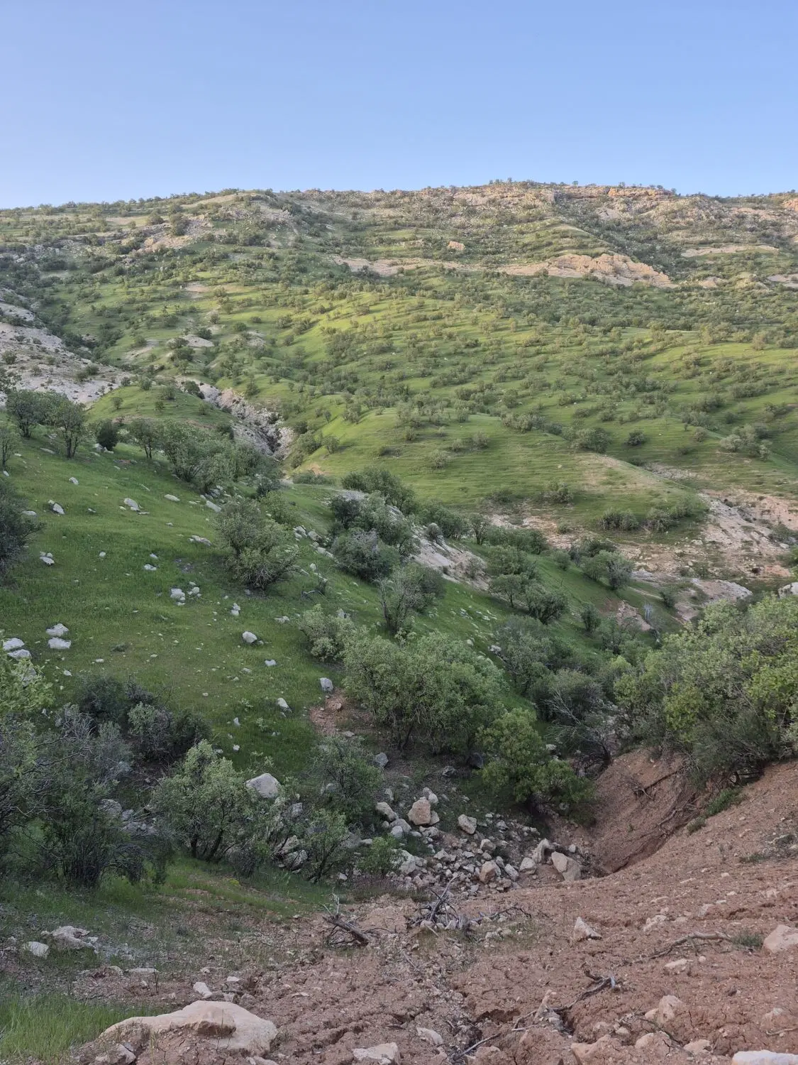 زمین میدان امام حسین