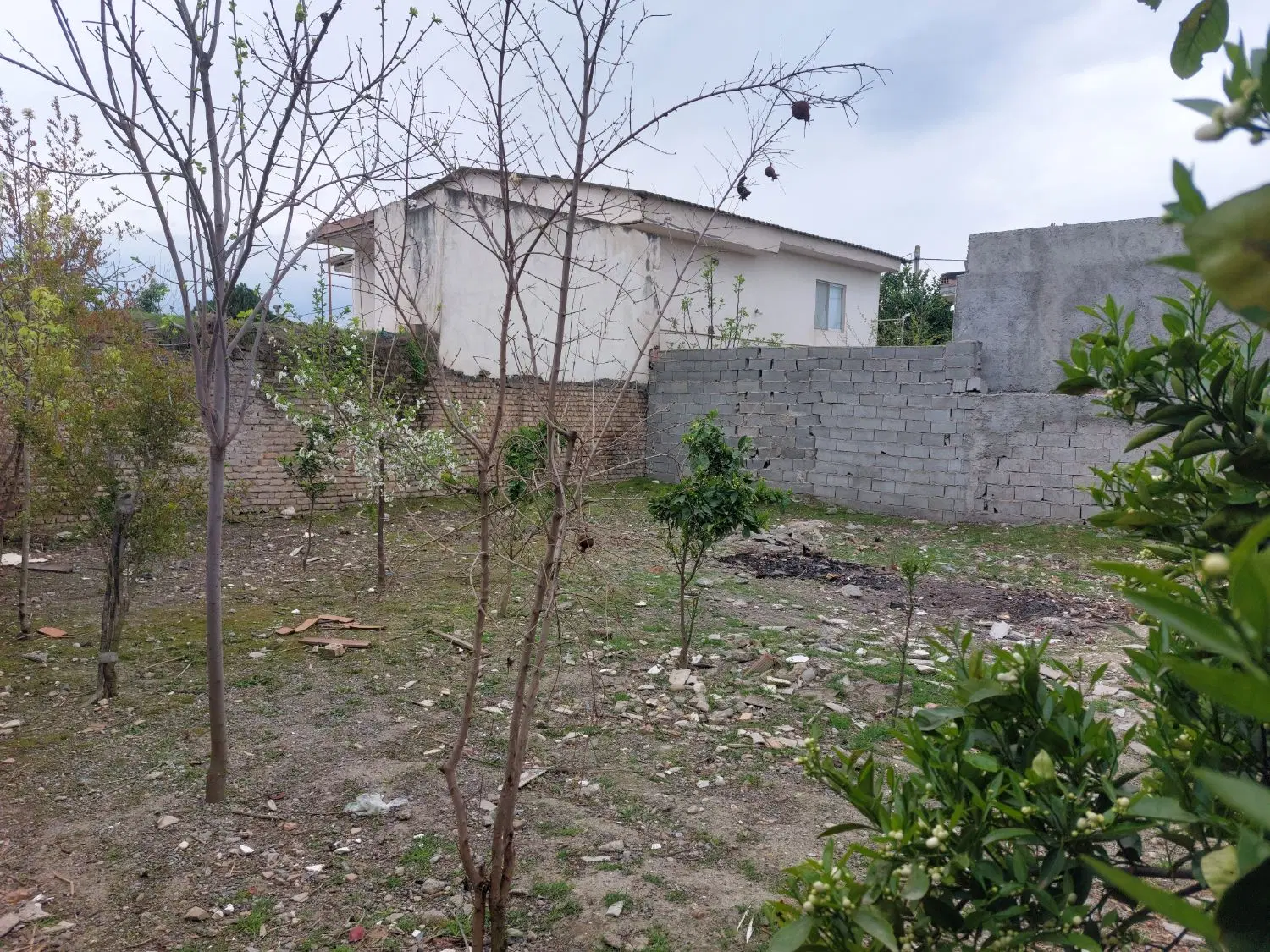 زمین مسکونی،روستای للدوین