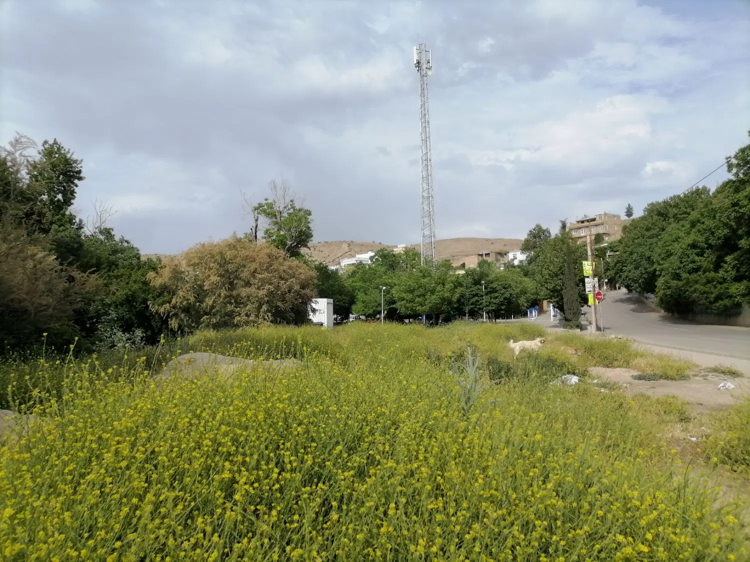 فروش زمین باغی در چمران سند تک. برگ