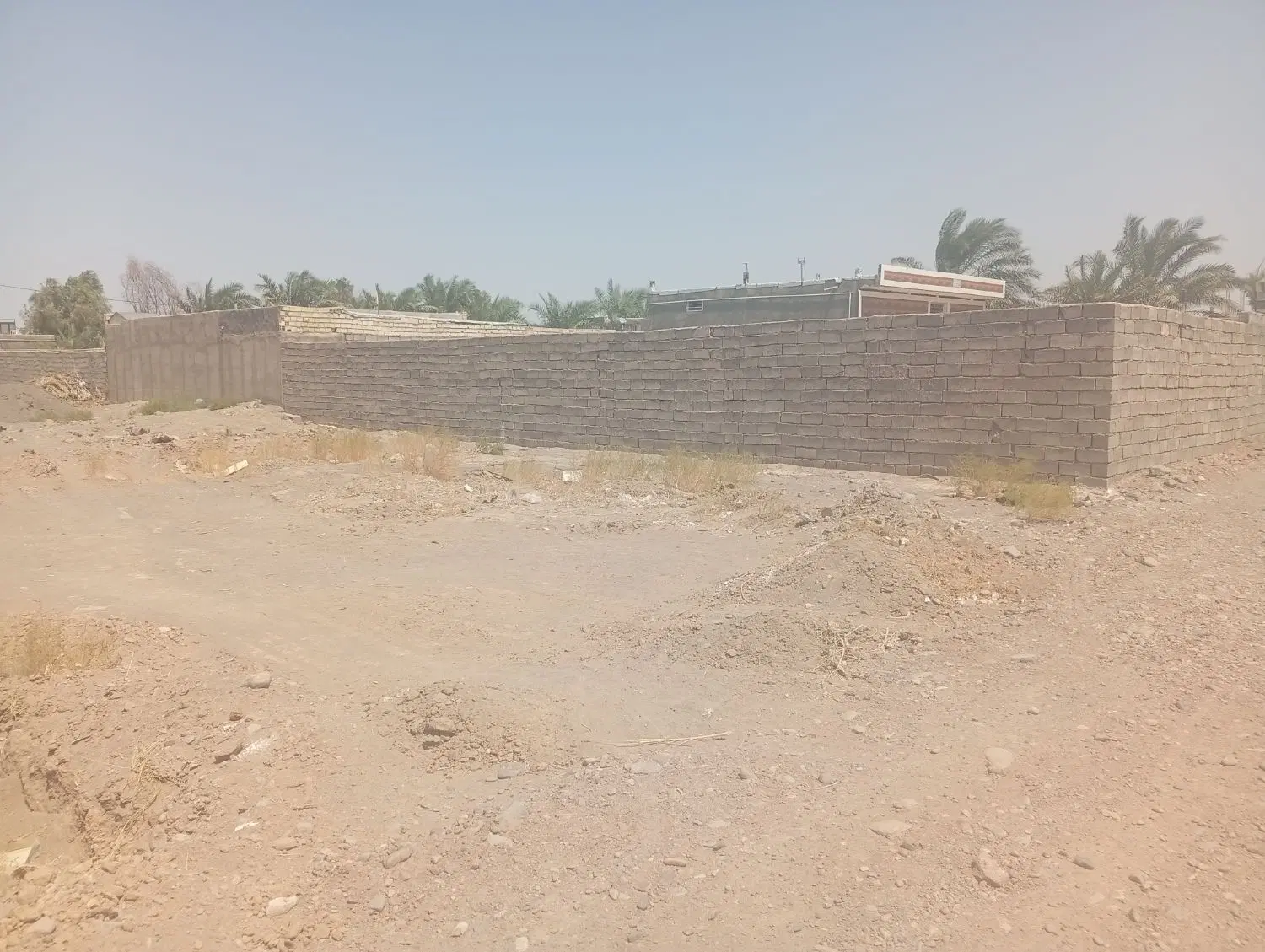 زمین