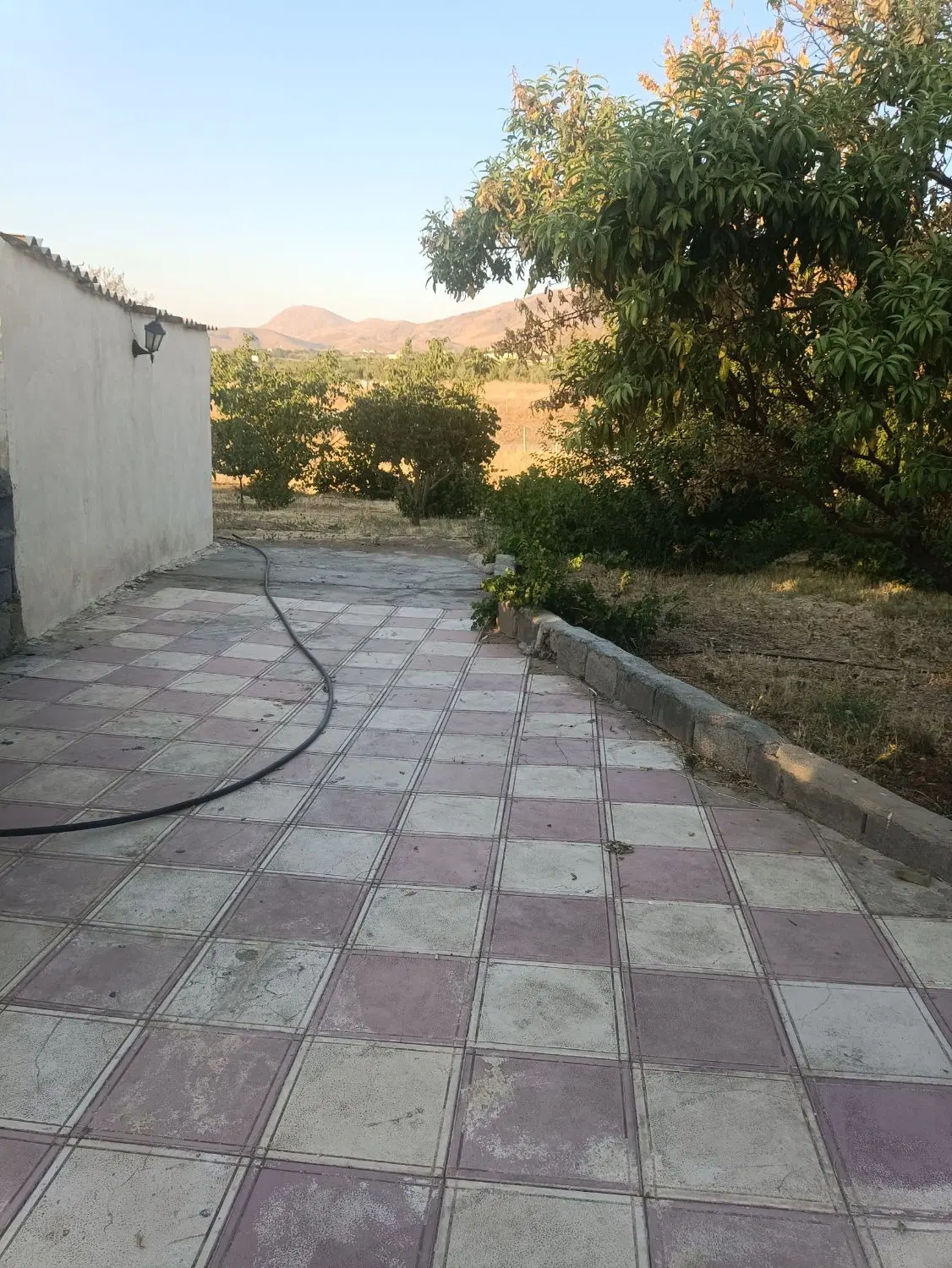 باغ سرنجیانه سلفی مجوز دار