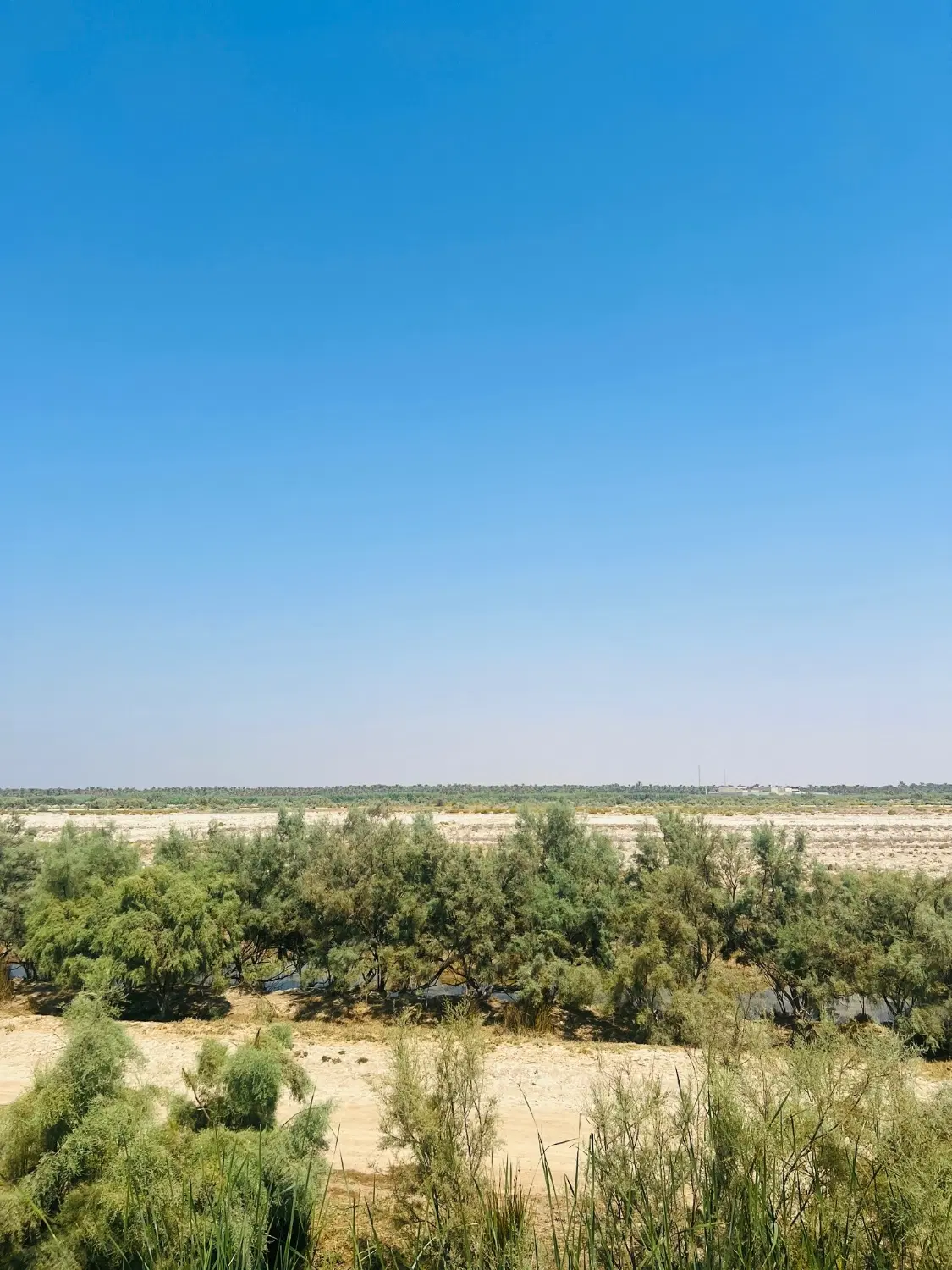 فروشی زمین روبروی پارک سید محمود