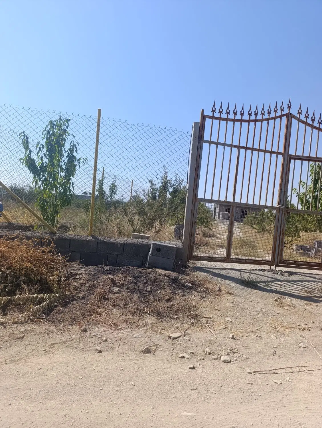 باغ‌سعیداباد