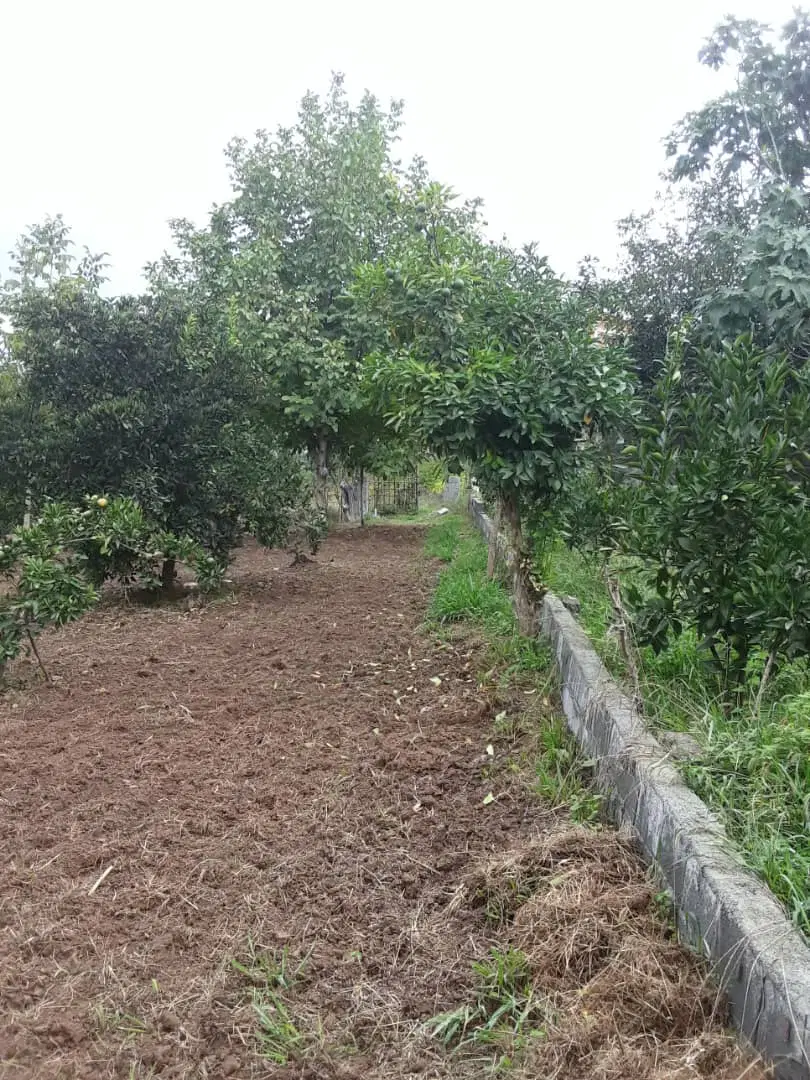زمین آماده ساخت (شهرودکلا)