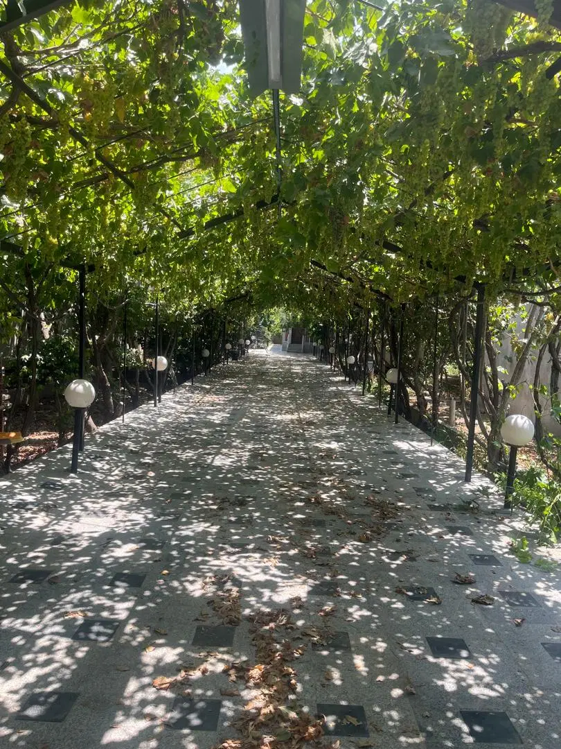 اجاره روزانه ویلا باغ
