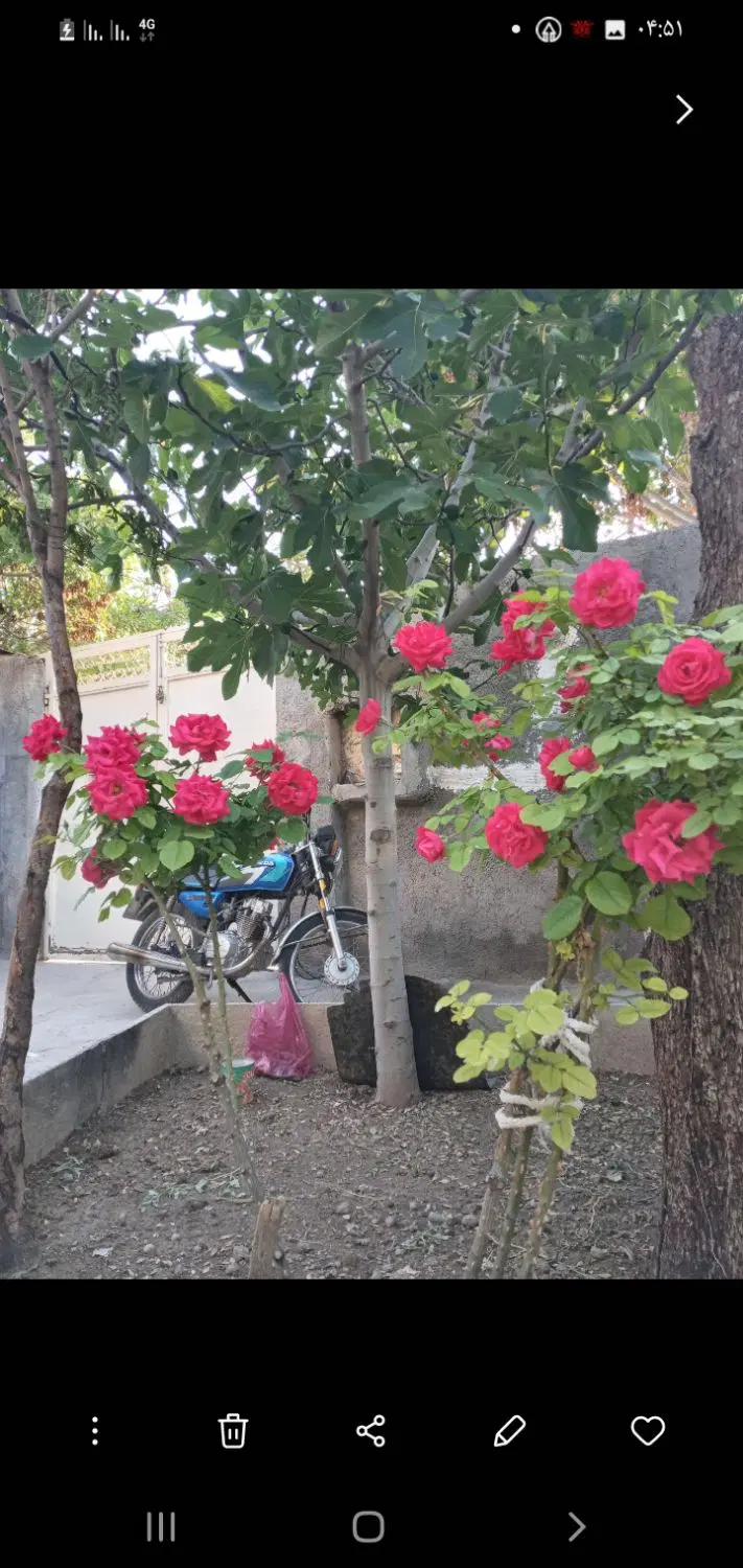 ویلایی حاشیه ۴۲