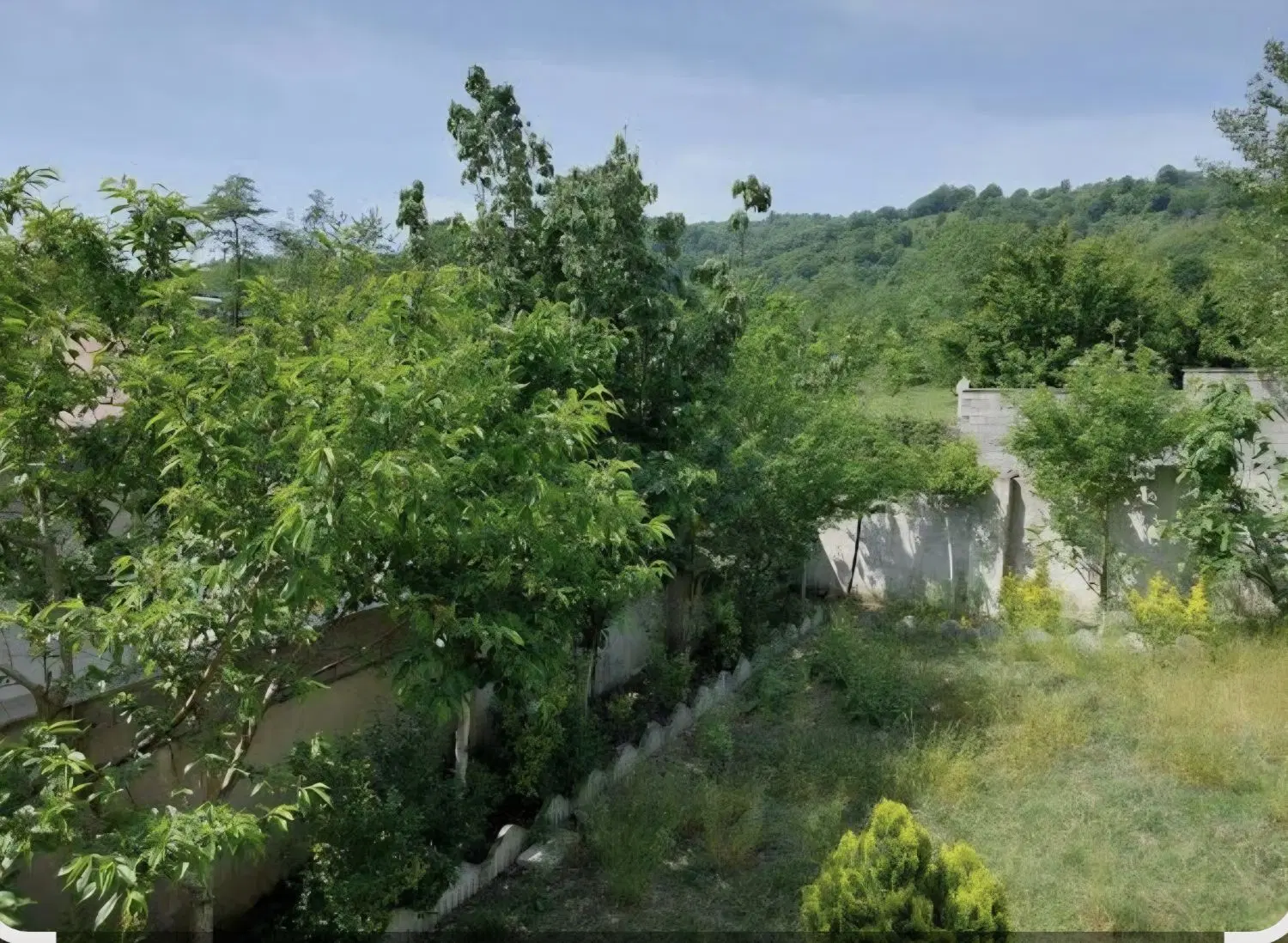 زمین کاربری زراعی باغی