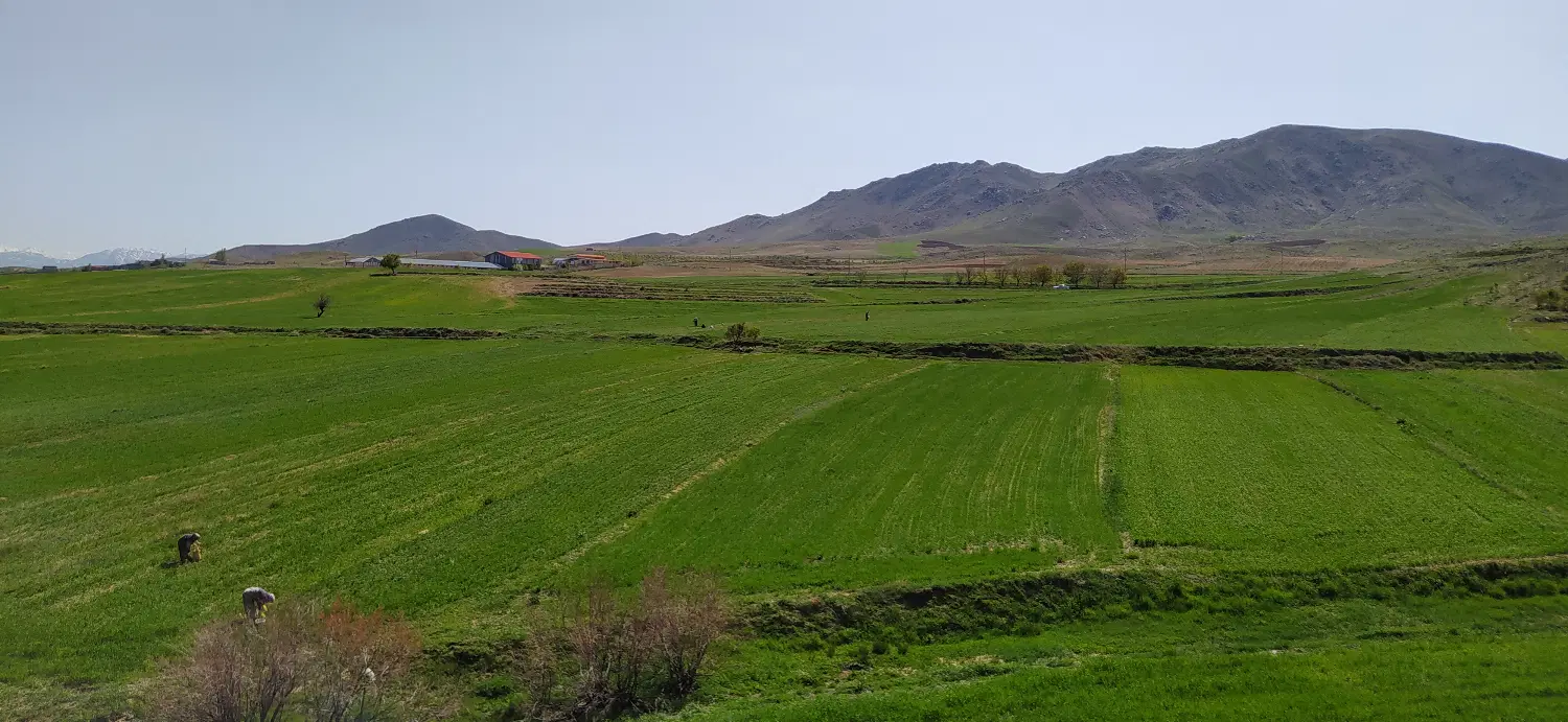 فروش زمین مناسب باغ