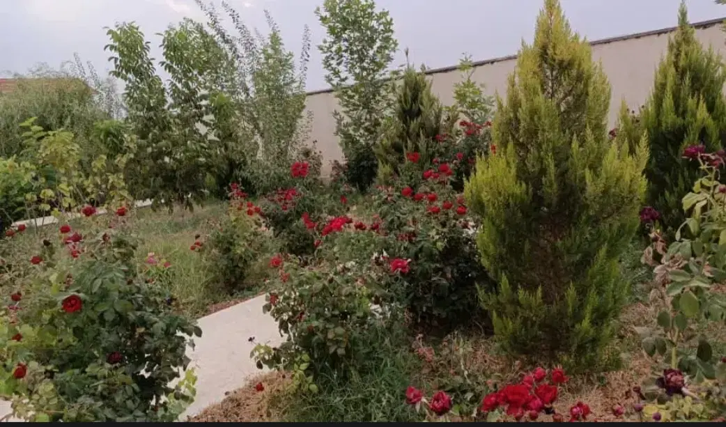 اجاره باغ ویلا استخر آبگرم در خانه زنیان