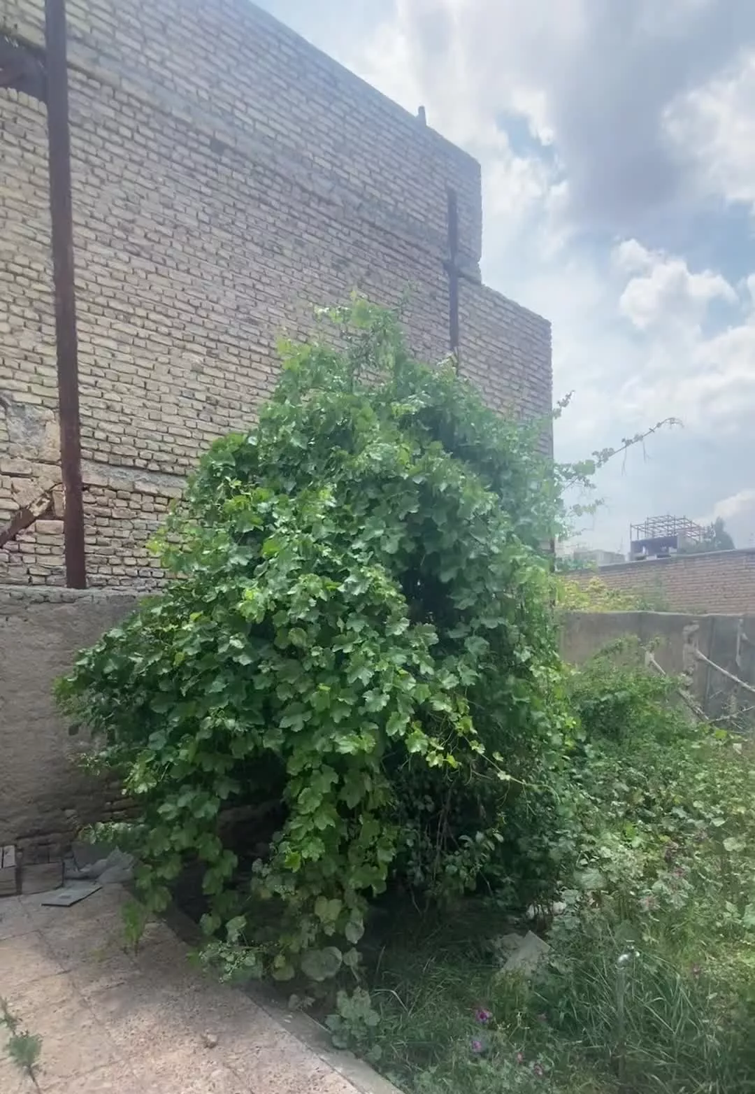 فروش خانه