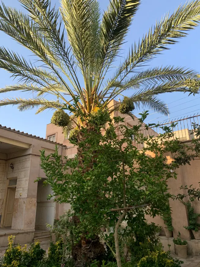خانه قدیمی سنتی