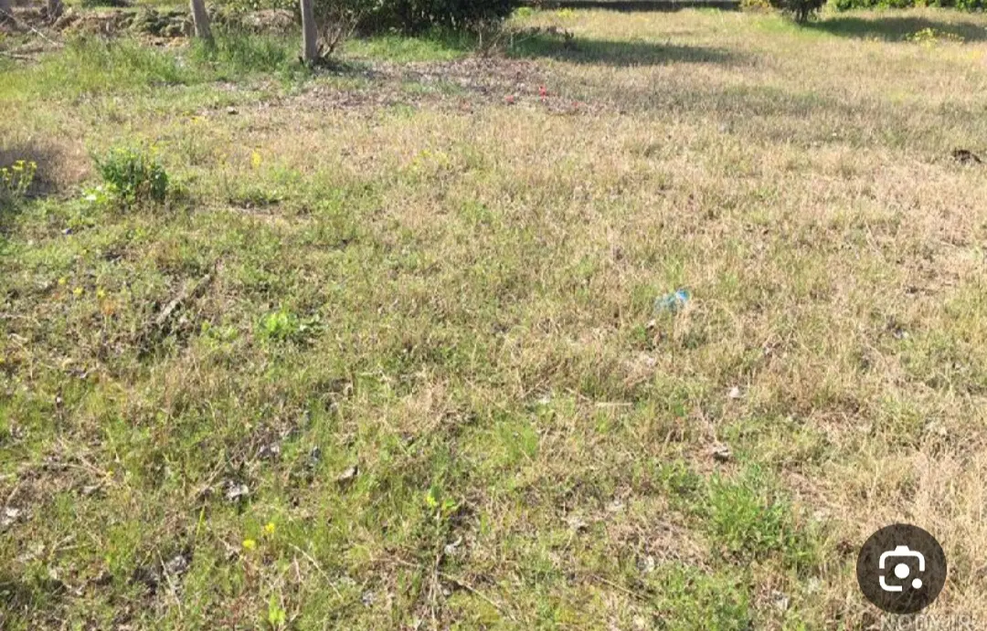 زمین برای خونه باغ در روستای آلاچیق‌‌.(الاغچین)