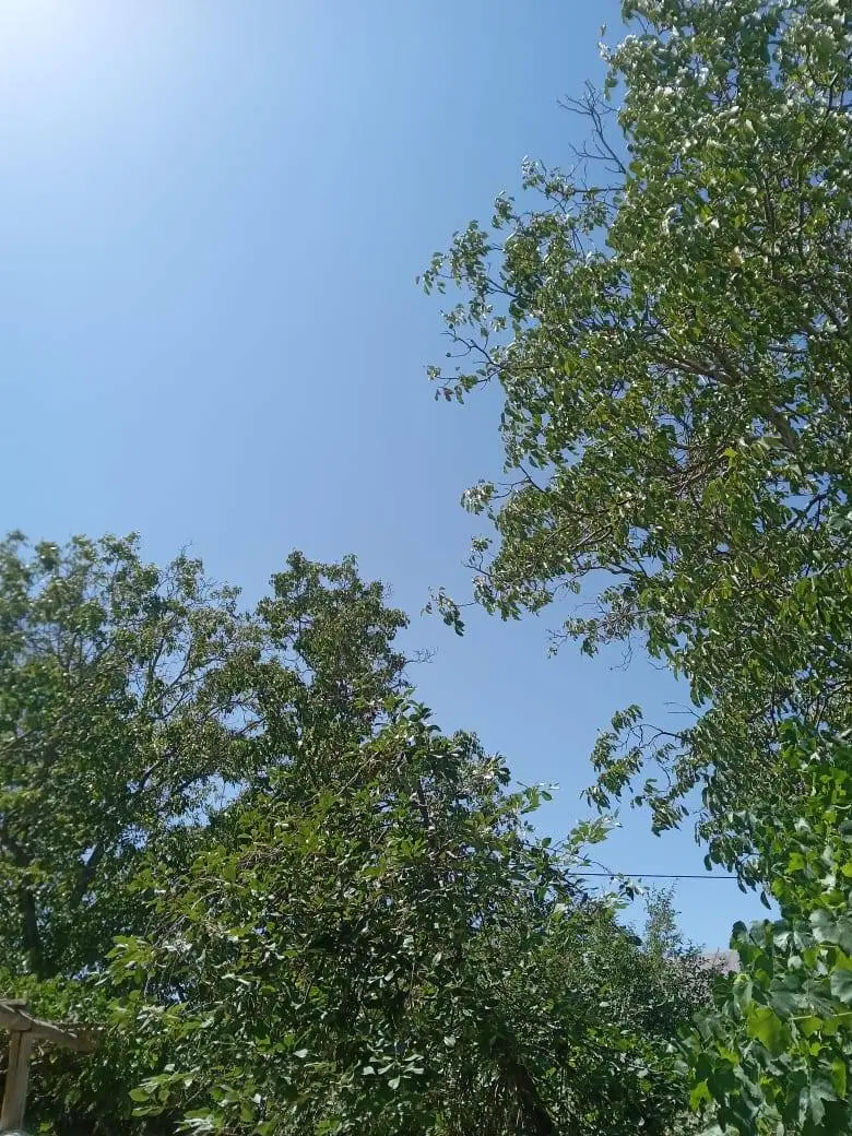 حدود۱۳۵۰متر باغ سونقان