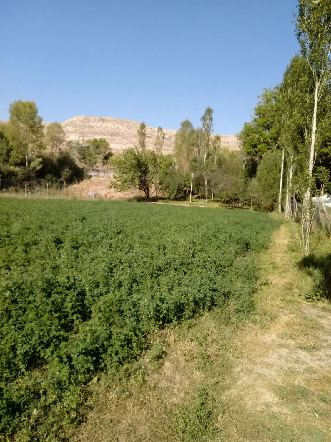 فروش زمین در روستای شهرآباد