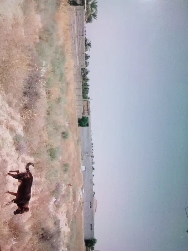 فروش زمین مسکونی