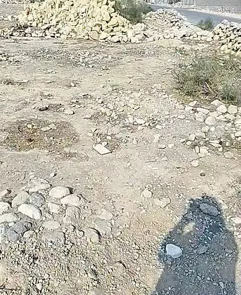زمین مسکونی واقع در روستای محمدآباد (خورموج)