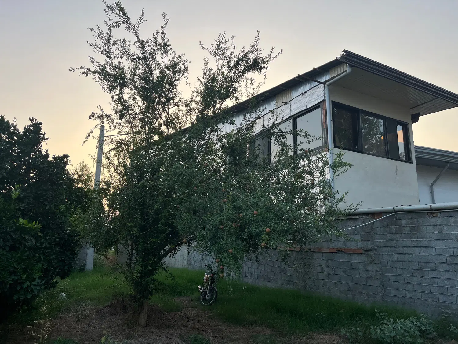 شمال سیمرغ کیاکلا