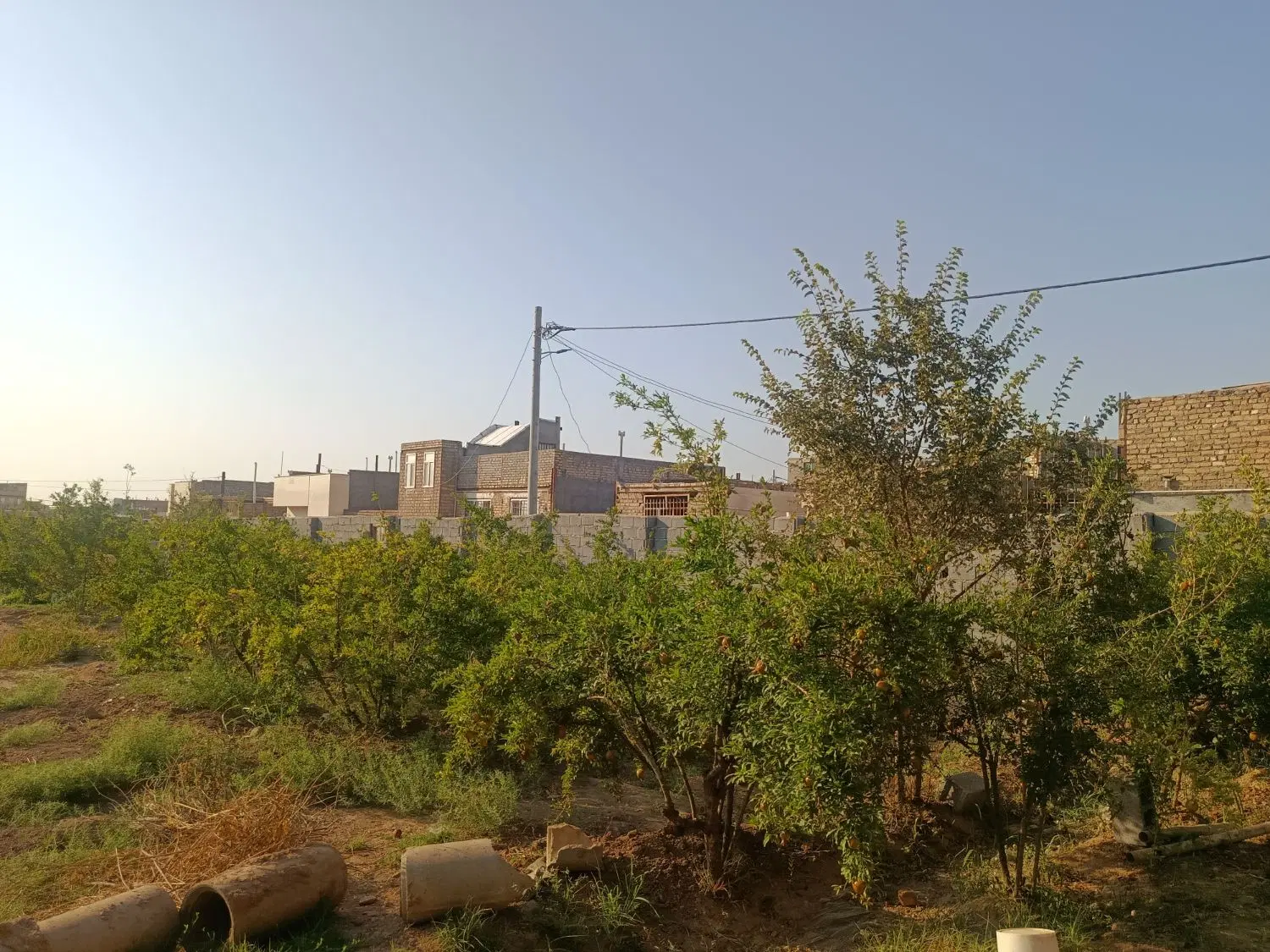 زمین باغ مسکونی در وحدت