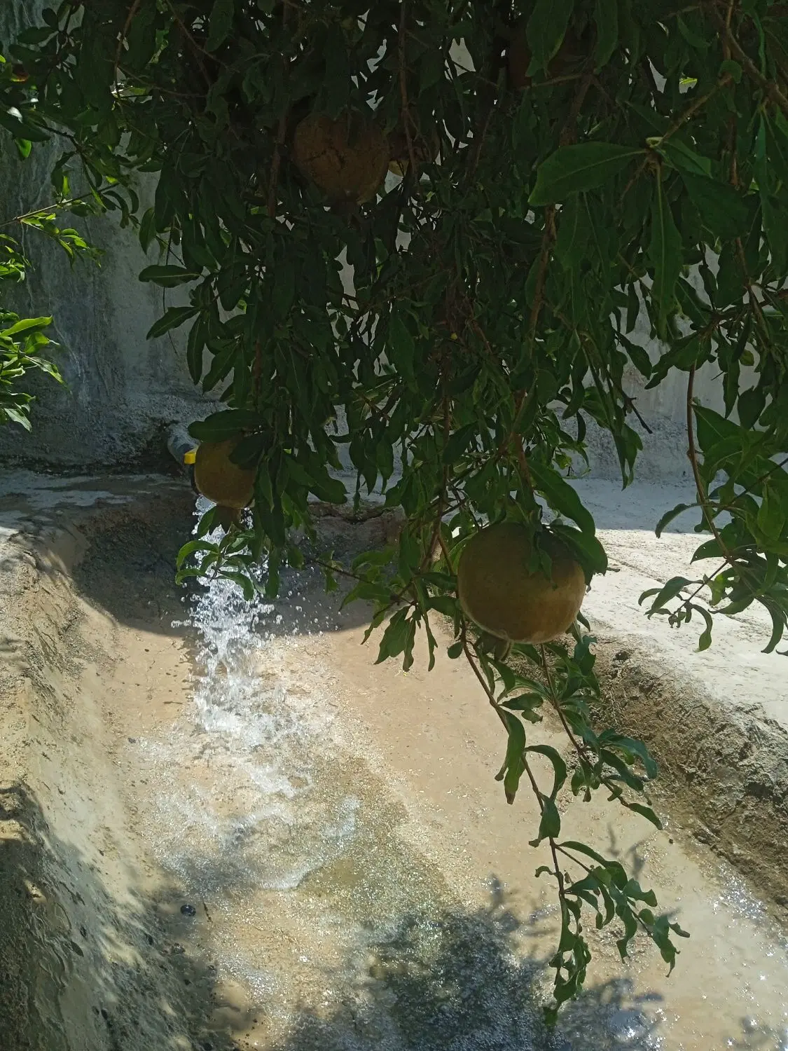 فروش زمین