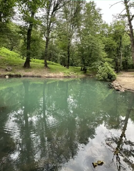اجاره زمین ۱ هکتار