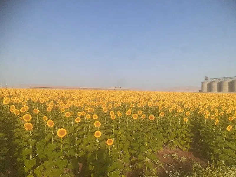 فروش زمین  امین آباد  قطعه  ۳۶۶