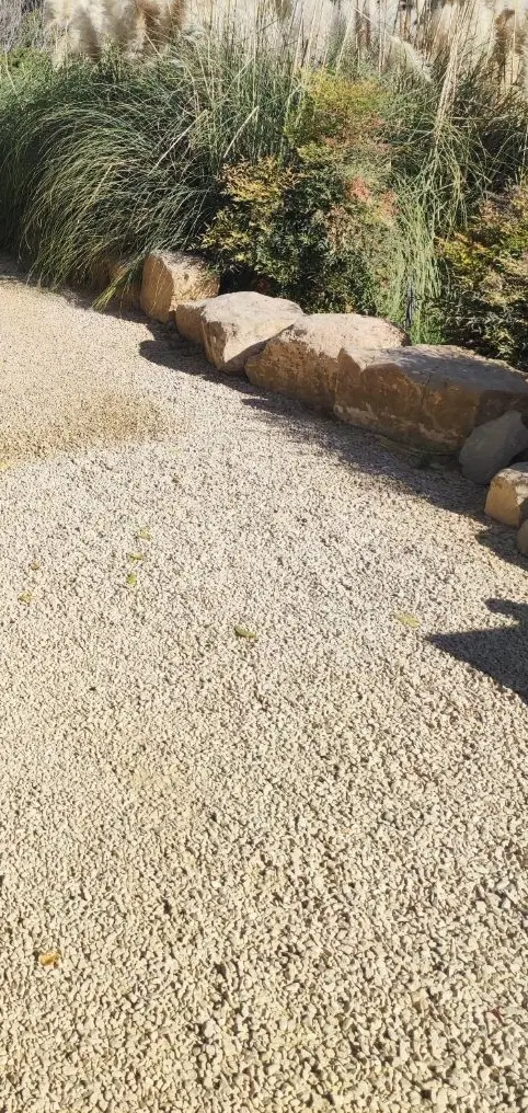 زمین مسکونی ۳۰۰متر سروستان