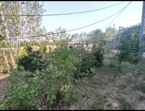 زمین مسکونی روستایی