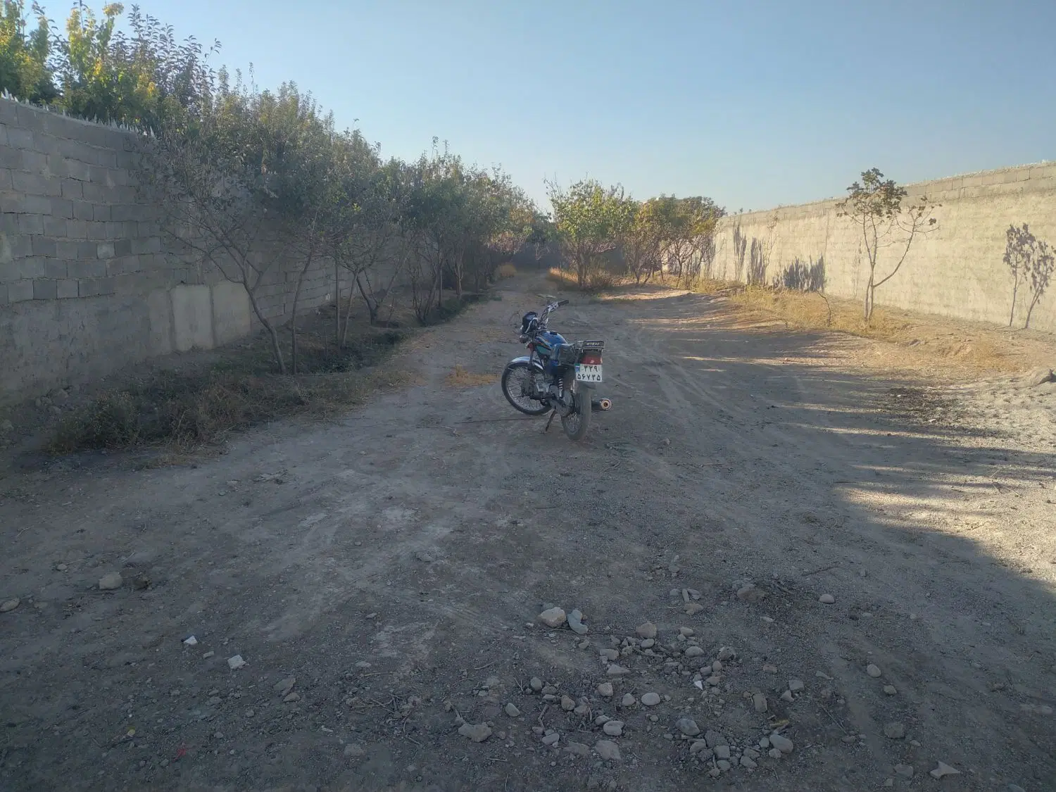 باغ