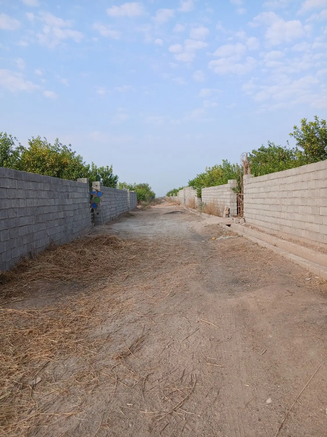 زمین باغچه ۶۰۰متری