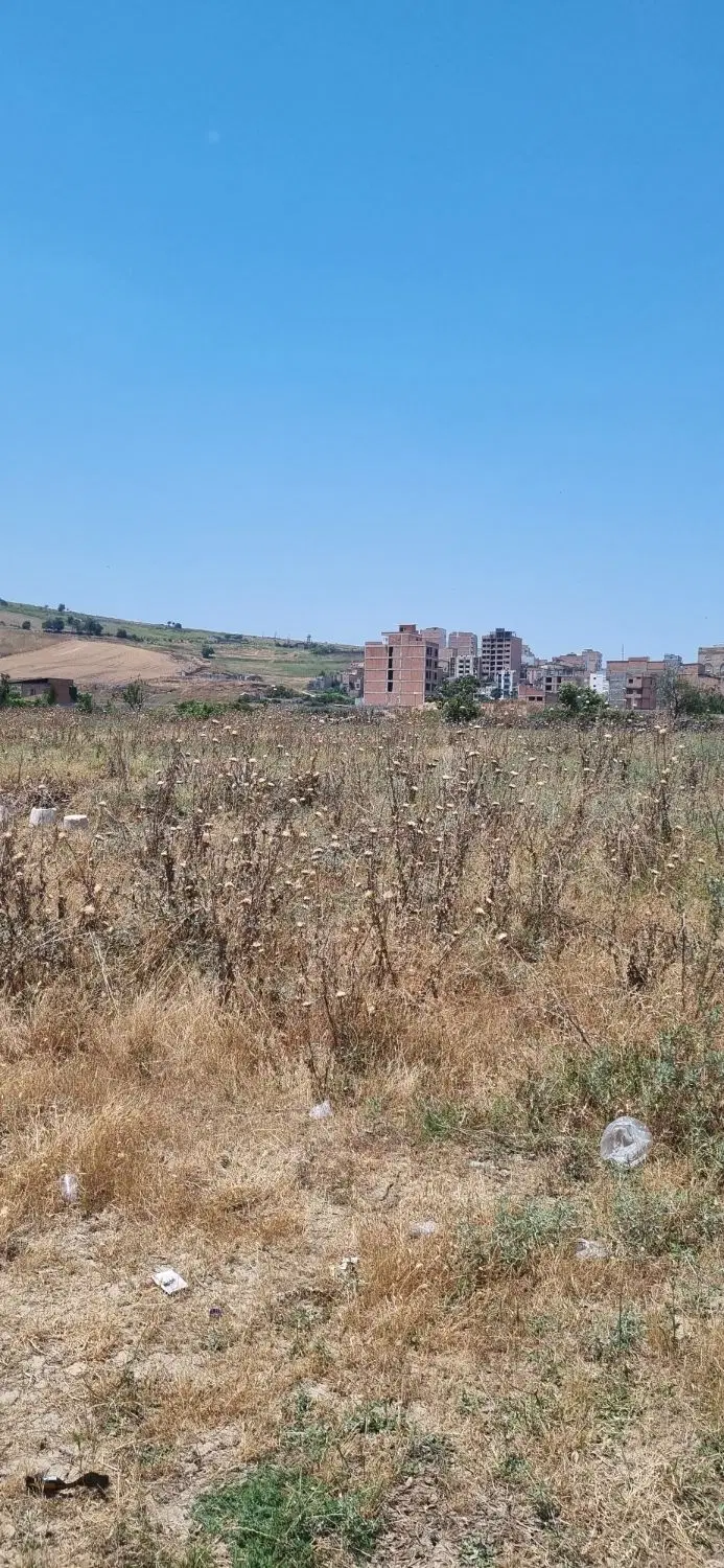 زمین در کوی طبیعت، مناسب برای سرمایه گذاری