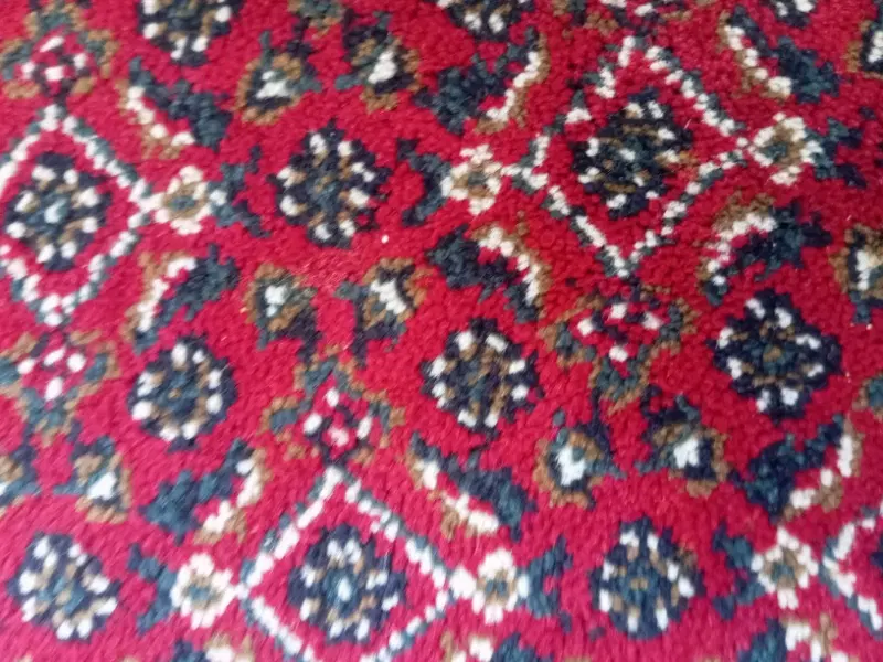 مالمان گرک بو اجاره