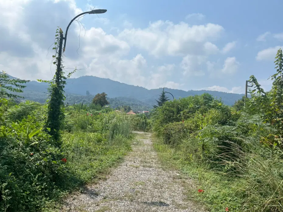 فروش زمین