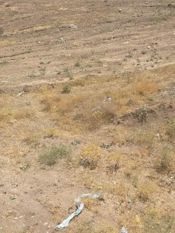 زمین در چهره گشا شهریار