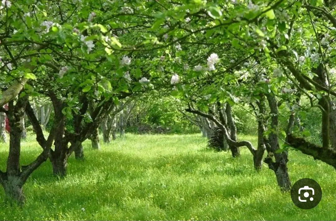 فروش زمین شهری