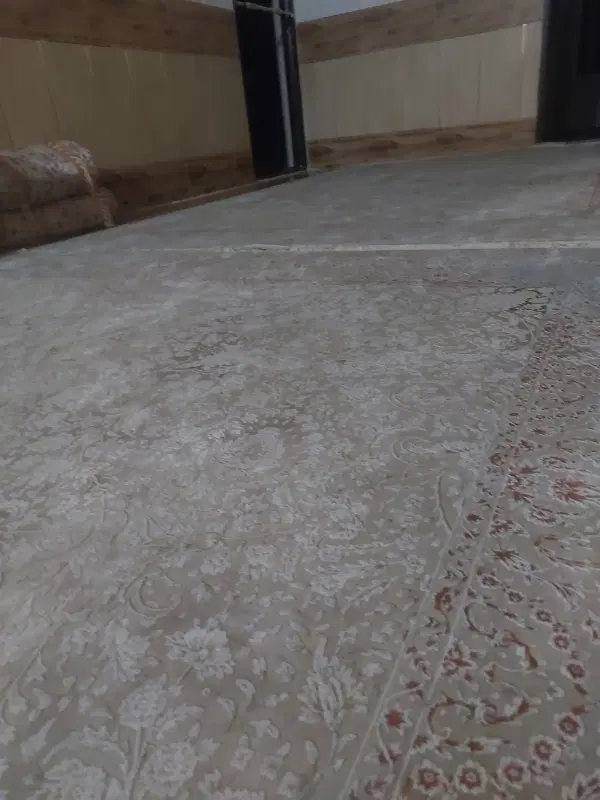 سوئیت