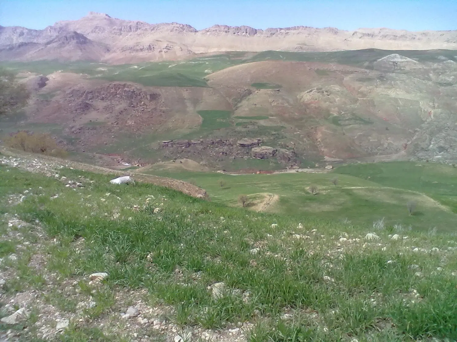 فروش زمین مشاعی