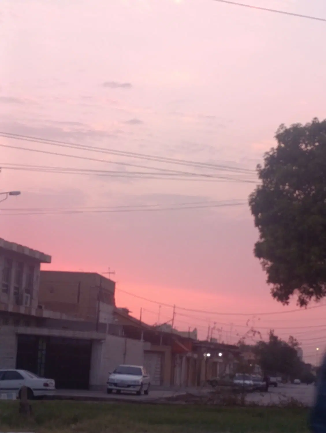 1000متر زمین باغی