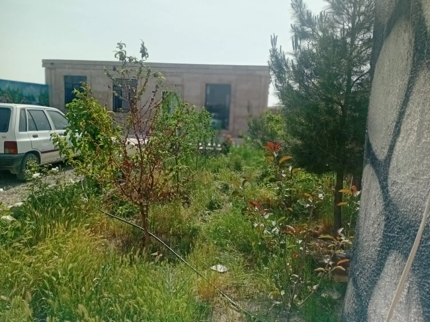 فروش باغ ویلا
