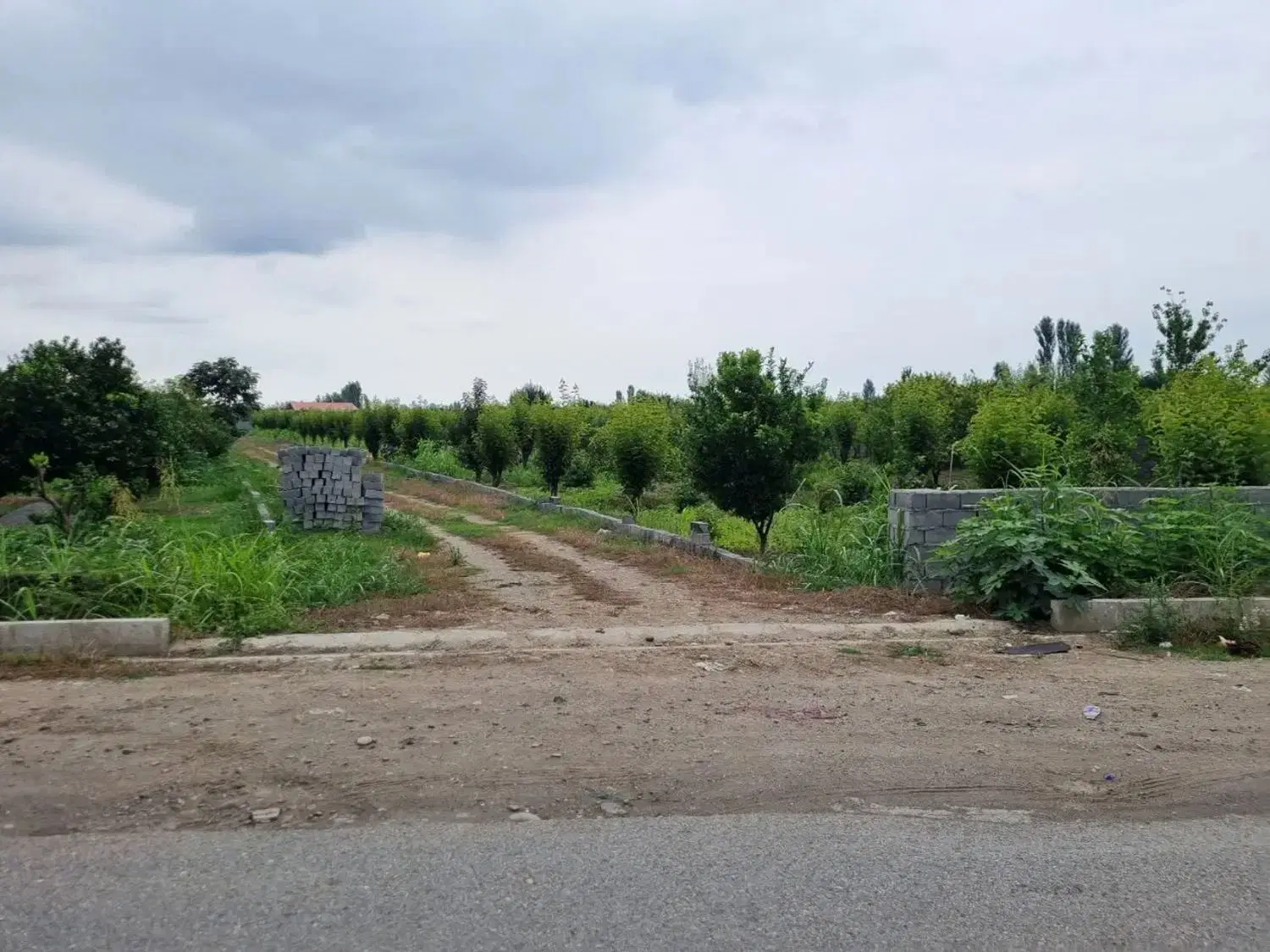 ۱۰.۵ قصب زمین ساردو (درب بهشت)