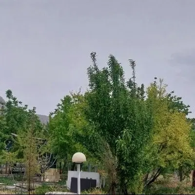 باغ شهری و باغچه