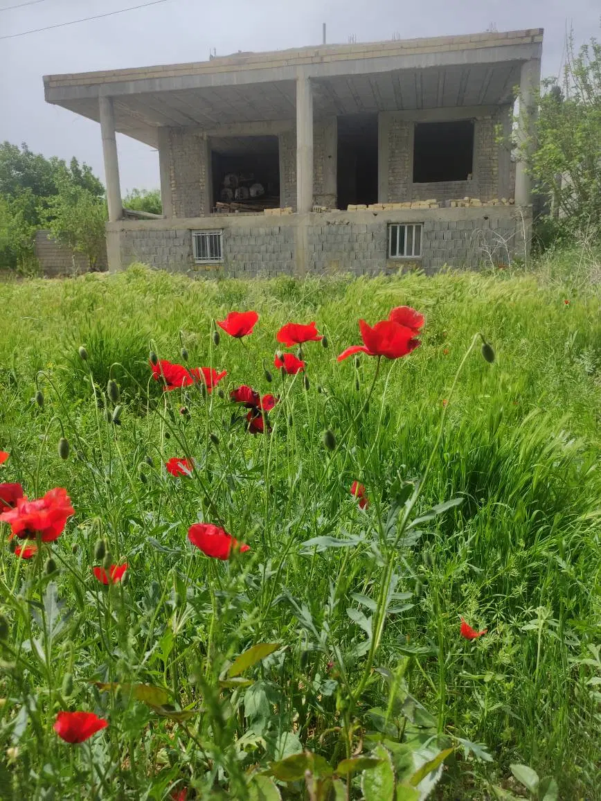 فروش باغ و ملک با درختان ثمری