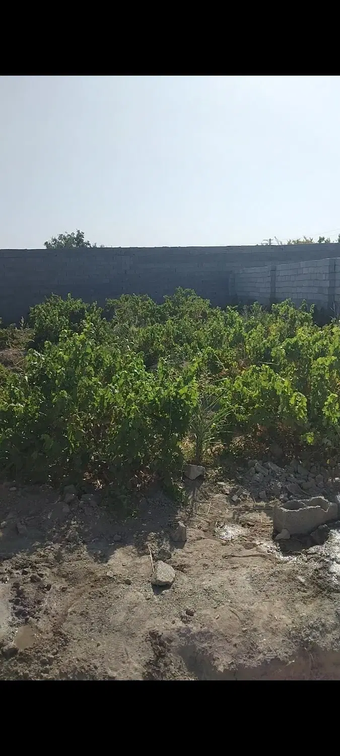 زمین ۴ چهار دیواری ۲۵۰ متری