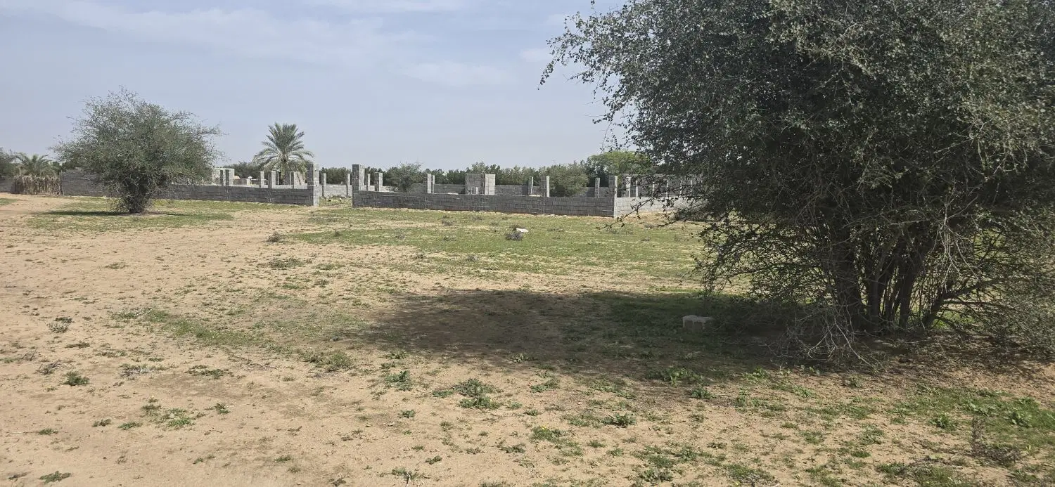 فروش زمین ۱۰۰۰متری برای خونه باغ