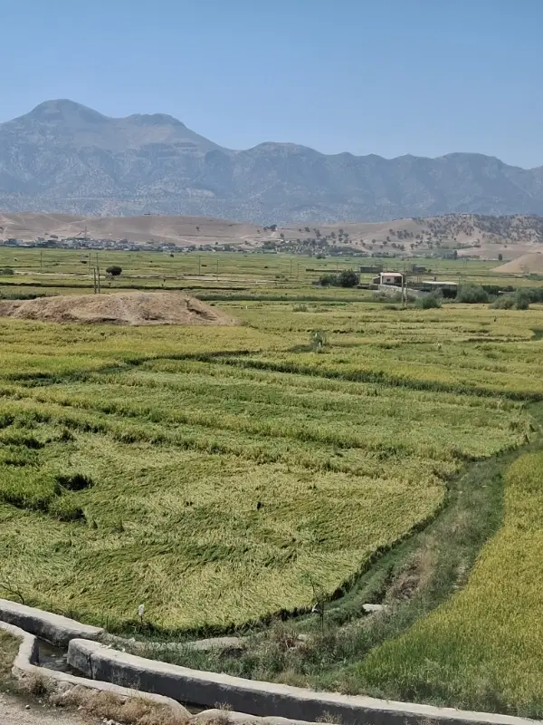 زمین فرهنگیان 3