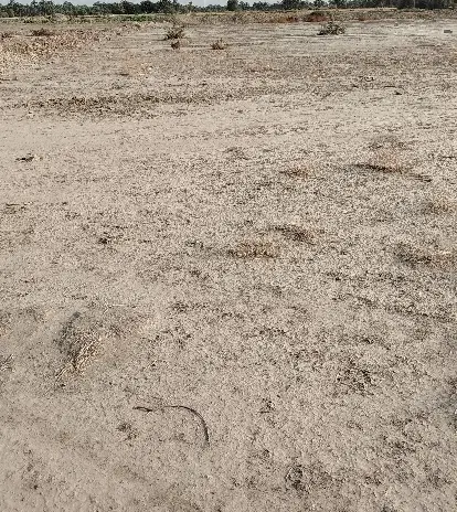 زمین کشاورزی 12 هکتار