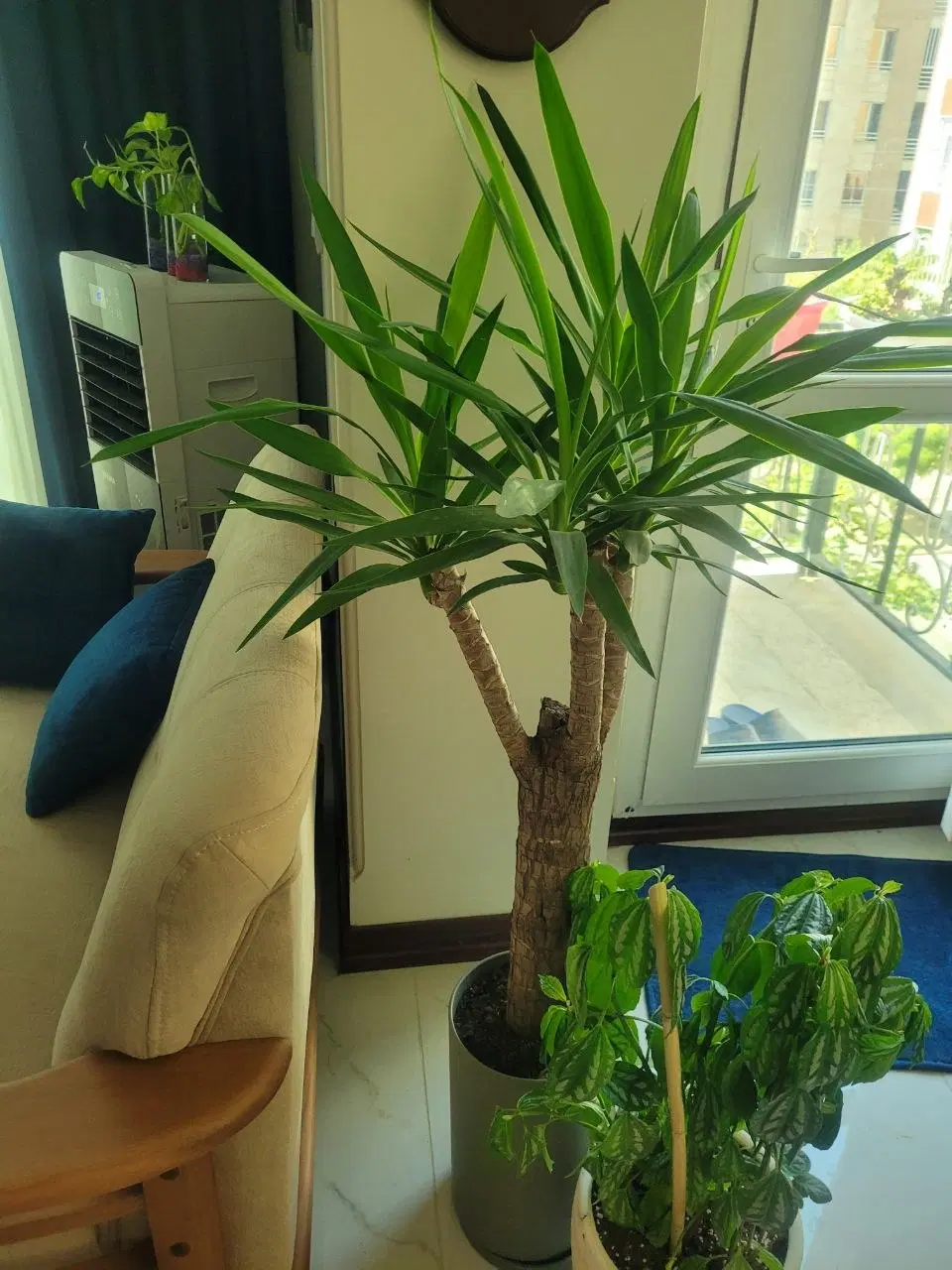 کاشانی .رامین شمالی 3 خوابه