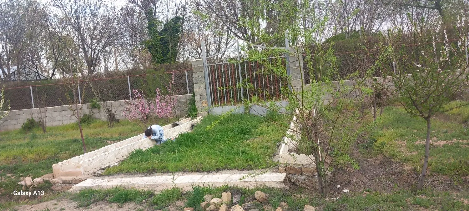 باغ زمین