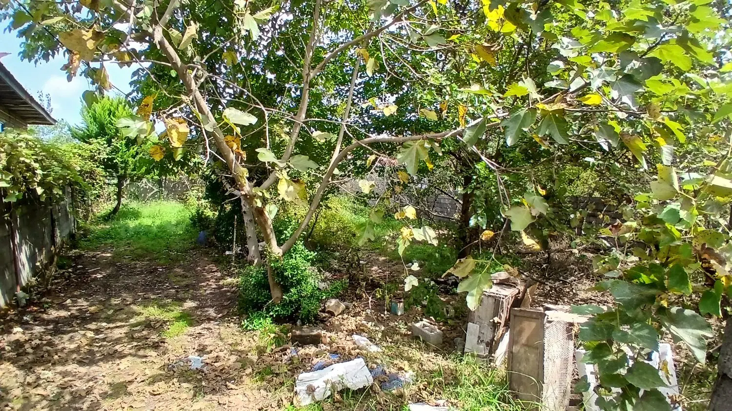 زمین در چوکام