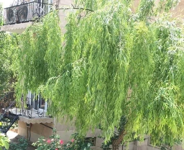 تهاتر و معاوضه منزل ۱۳۰۰متری با کاربری مسکونی