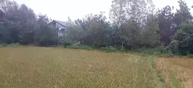 ۶۰۰ زمین مسکونی